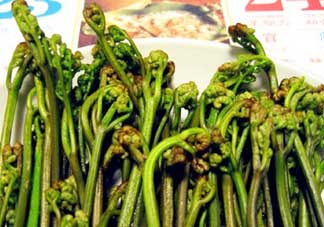 蕨菜有毒嗎？吃蕨菜會(huì)中毒嗎？