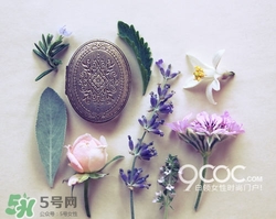 2017固體香膏哪個牌子好？2017固定香膏排行榜