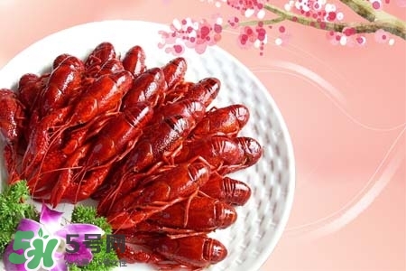 吃小龍蝦喝什么飲料？小龍蝦配什么飲料最好？