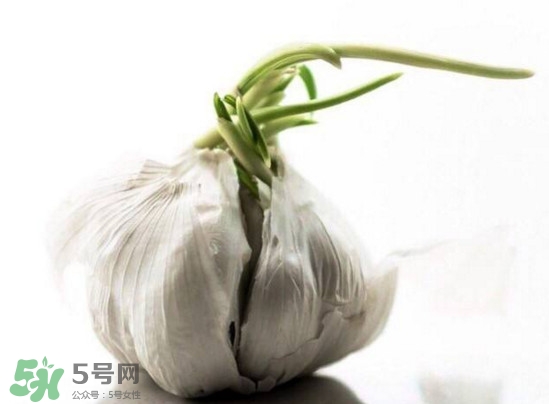 發(fā)芽的大蒜能吃嗎？發(fā)芽的大蒜能不能吃