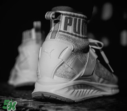 puma襪子鞋真假怎么看？puma彪馬襪子鞋真假辨別