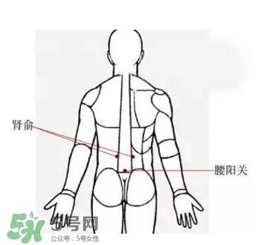 艾灸能減肥嗎？艾灸能不能減肥