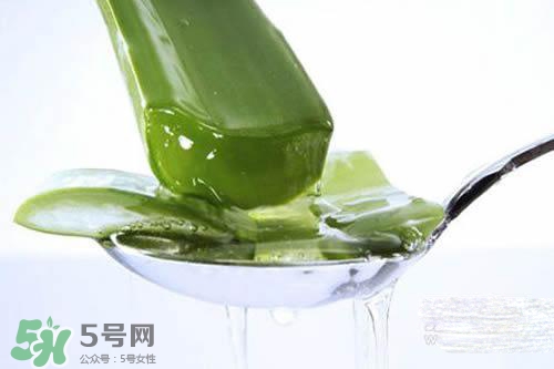 黃瓜水和蘆薈水哪個(gè)好？黃瓜水和蘆薈水功效區(qū)別