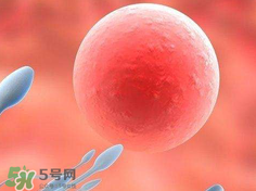 捐20顆卵子會怎么樣？捐20顆卵子有什么后果？