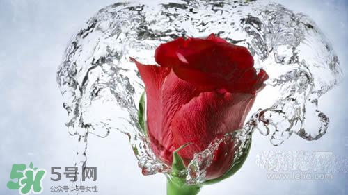 黃瓜水和玫瑰水哪個(gè)好？黃瓜水和玫瑰水區(qū)別