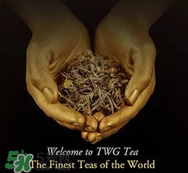twg茶哪個(gè)最經(jīng)典？twg茶葉哪個(gè)好喝？