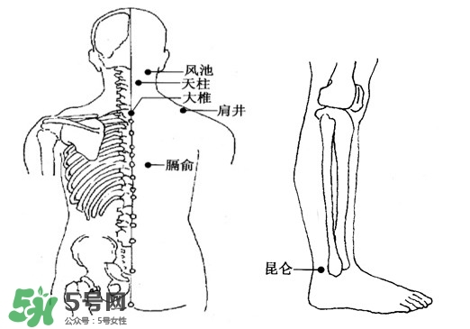刮痧能治頸椎病嗎？頸椎病刮痧正確圖片