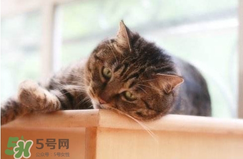 為什么身體總是覺得累？總是覺得累是怎么回事