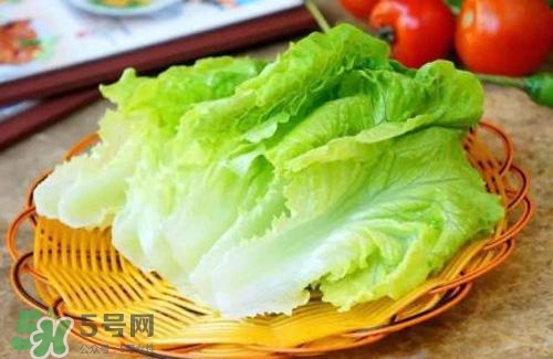生菜可以放冰箱嗎？生菜可以放冰箱多久？