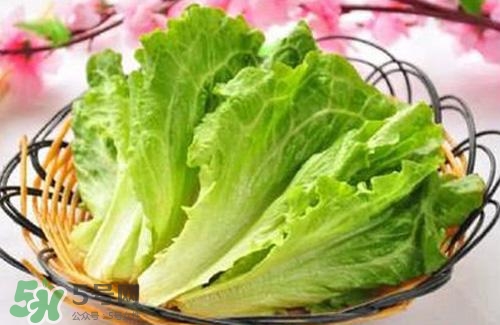 生菜可以放冰箱嗎？生菜可以放冰箱多久？