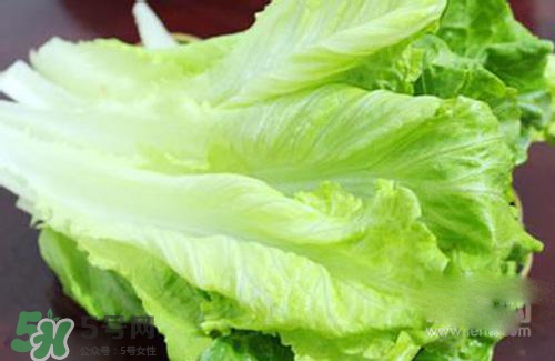 生菜可以放冰箱嗎？生菜可以放冰箱多久？