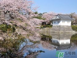 5月份去日本穿什么？五月份去日本穿什么衣服？