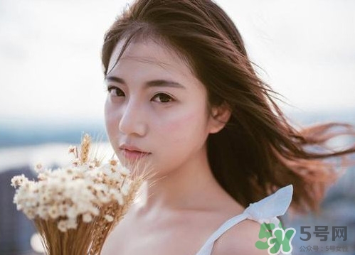 酢漿草怎么讀？酢漿草與三葉草的區(qū)別