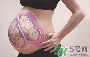 妊娠線看可以看胎兒性別嗎？妊娠線看可以男女嗎？