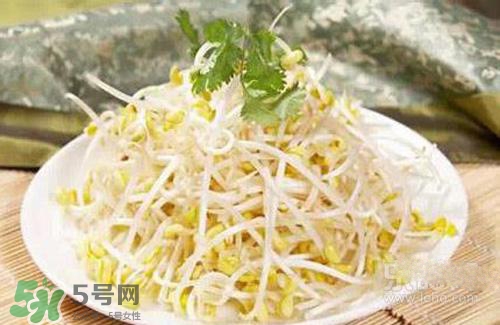 黃豆芽熱量高嗎？吃黃豆芽會長胖嗎？