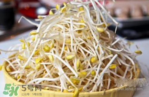黃豆芽熱量高嗎？吃黃豆芽會長胖嗎？