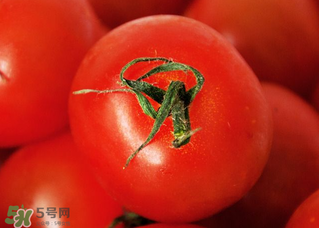 五月份吃什么蔬菜？5月份吃什么蔬菜？