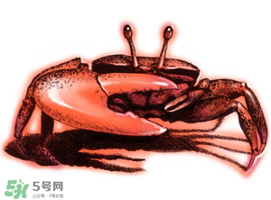 五月份可以吃螃蟹嗎？5月份可以吃螃蟹嗎？