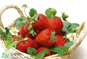 五月份還有草莓嗎？5月份還有草莓嗎？