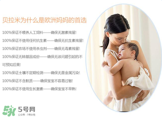 貝拉米米粉怎么吃？貝拉米米粉的吃法
