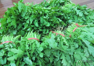 罌粟苗能當(dāng)菜吃嗎？罌粟苗可以當(dāng)菜吃嗎？