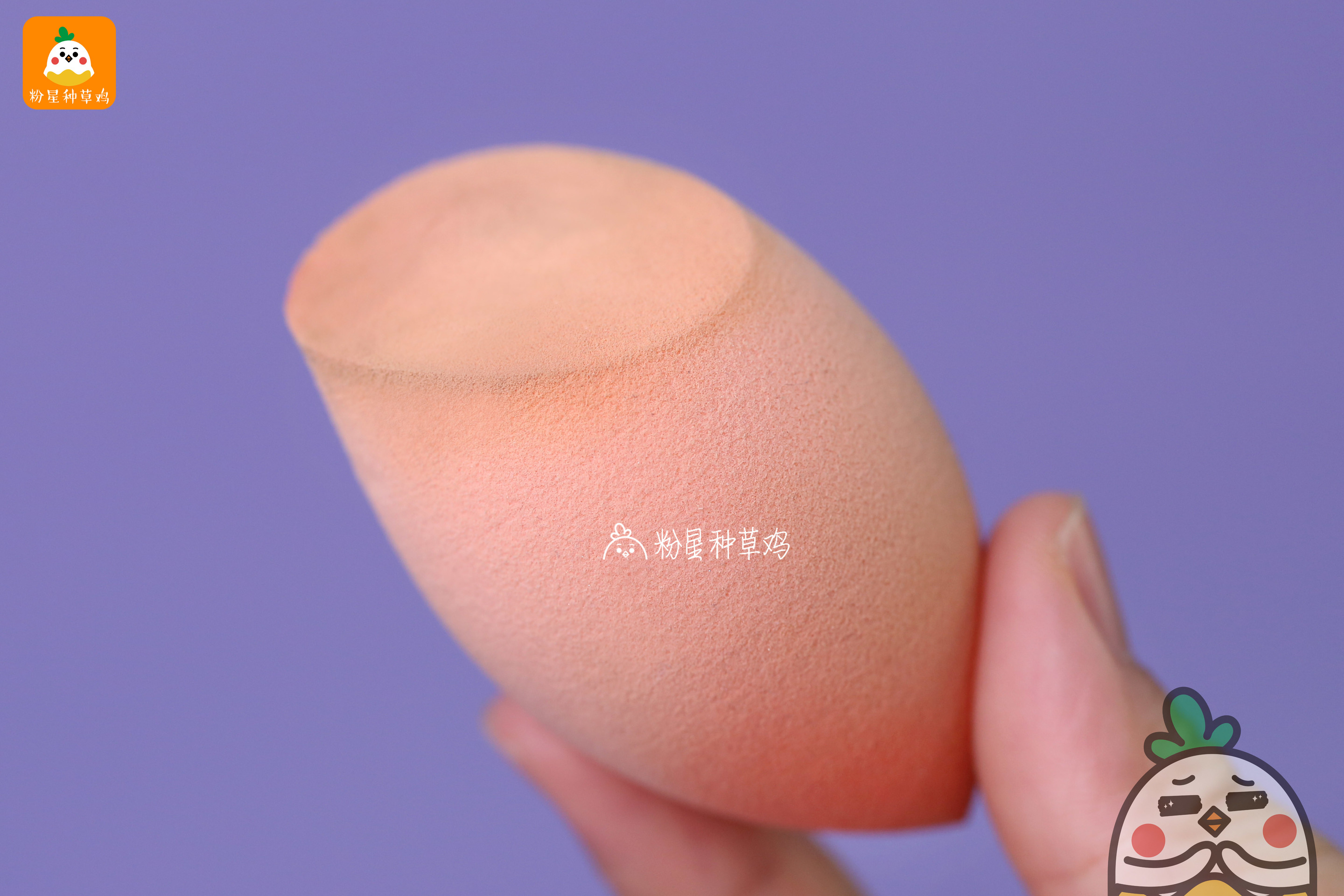 beauty blender美妝蛋和rt美妝蛋哪個好？