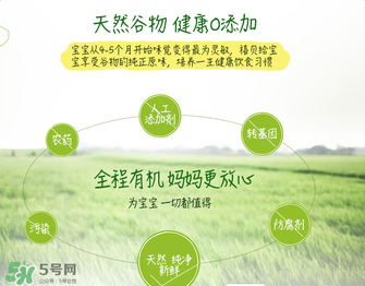 禧貝米粉二段味道怎么樣？禧貝米粉二段味道如何？