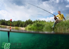 螺螄肉可以釣魚(yú)嗎?螺螄肉可以釣什么魚(yú)?