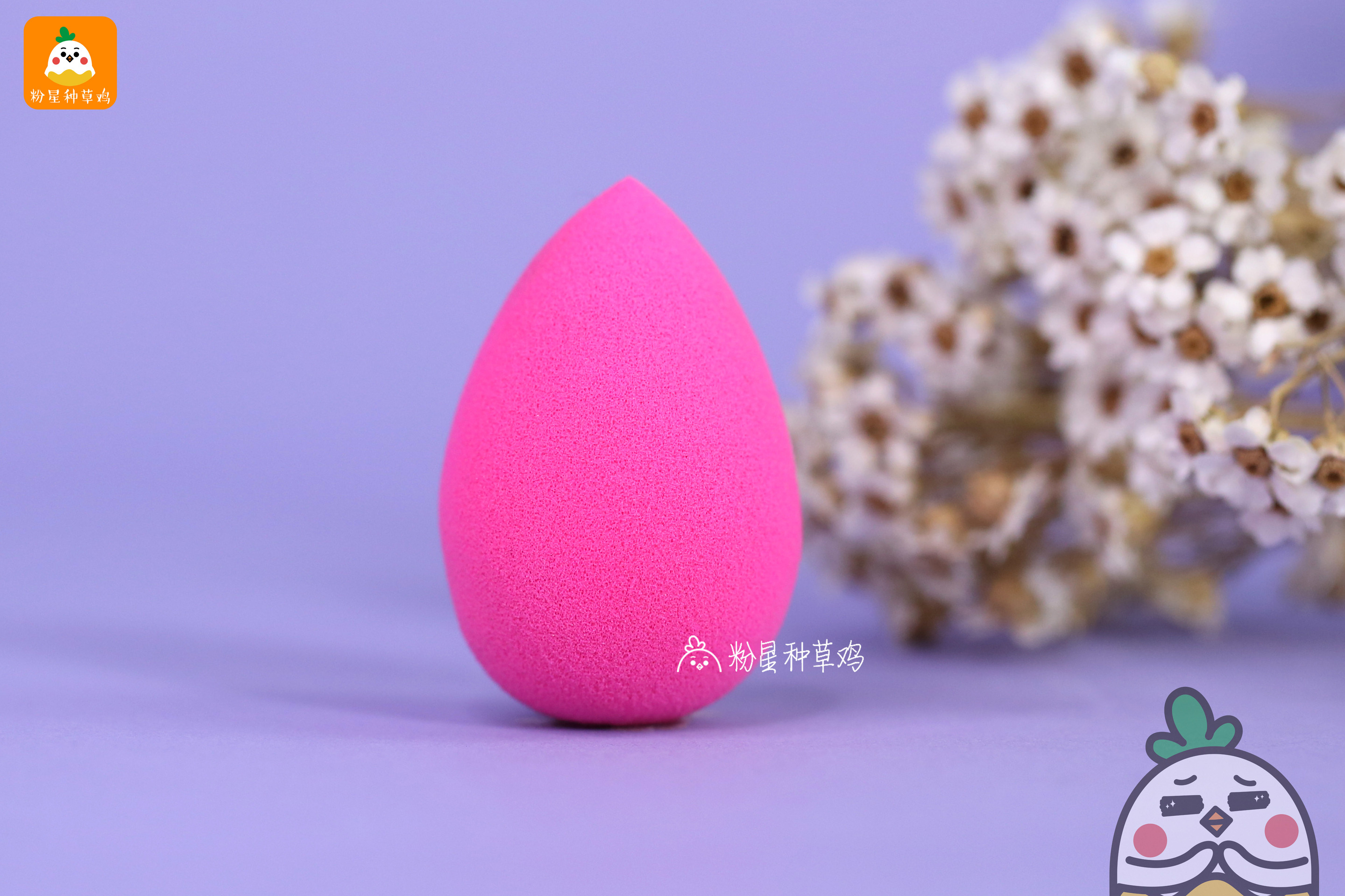 beauty blender美妝蛋和rt美妝蛋哪個好？