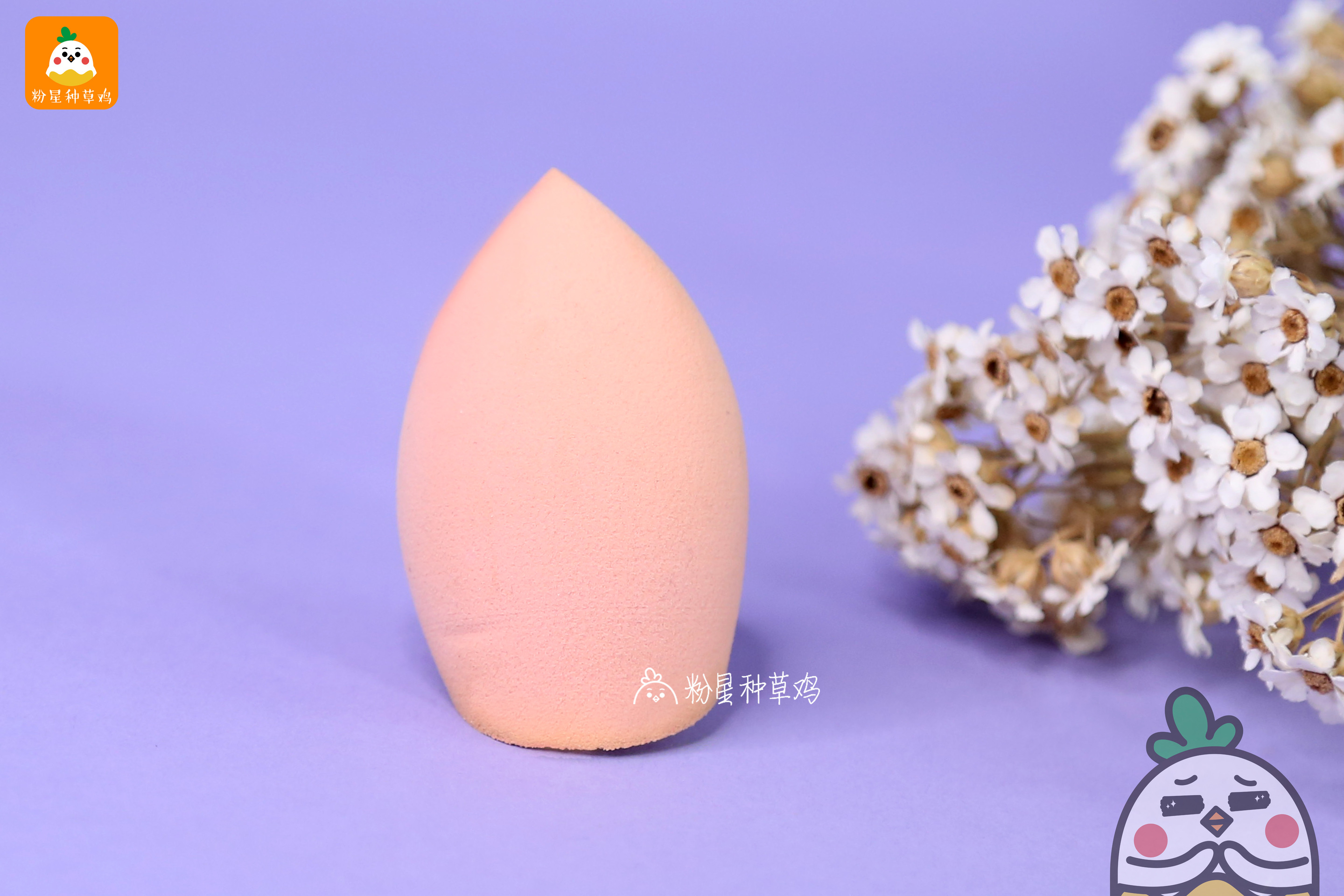 beauty blender美妝蛋和rt美妝蛋哪個好？