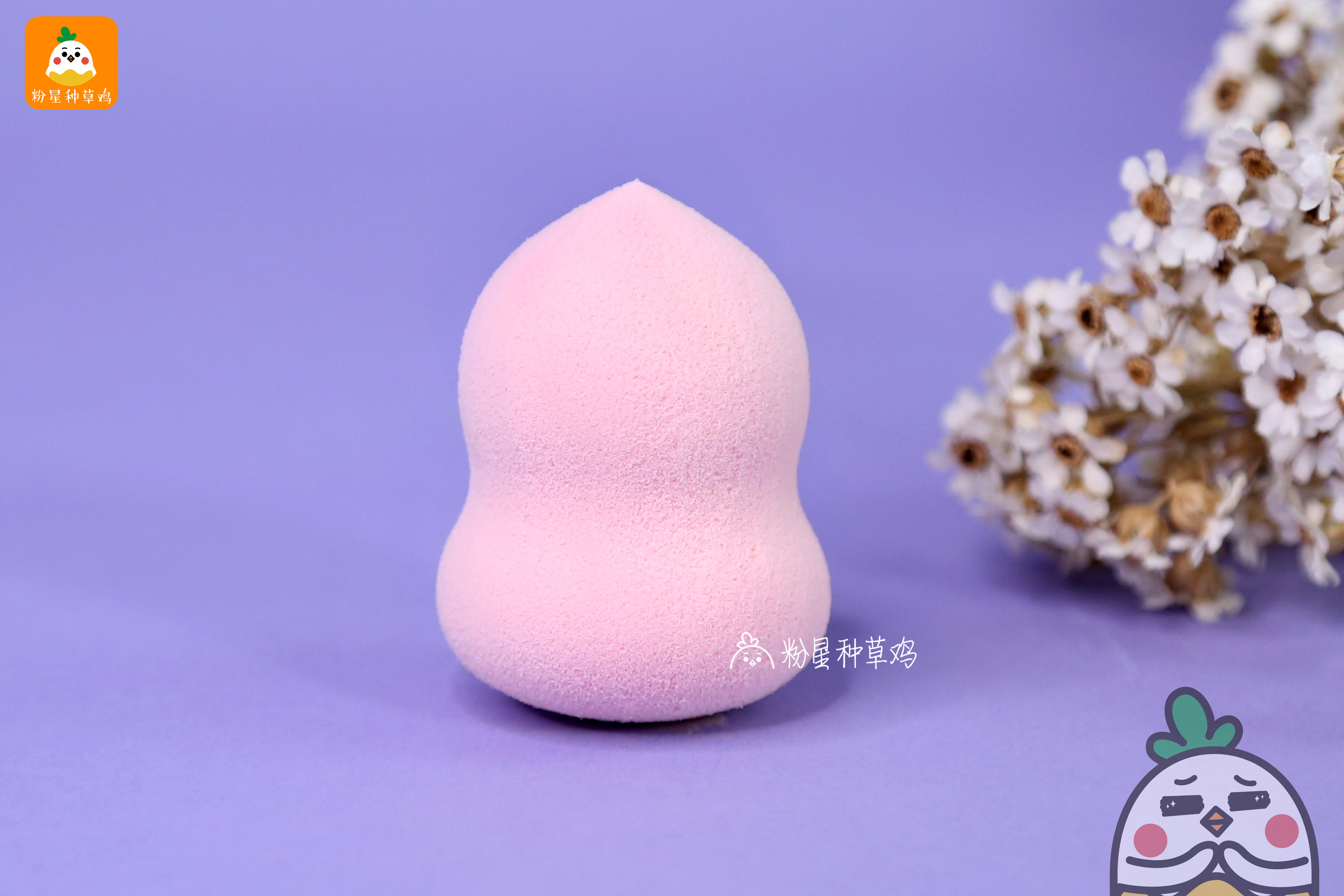 beauty blender美妝蛋和rt美妝蛋哪個好？