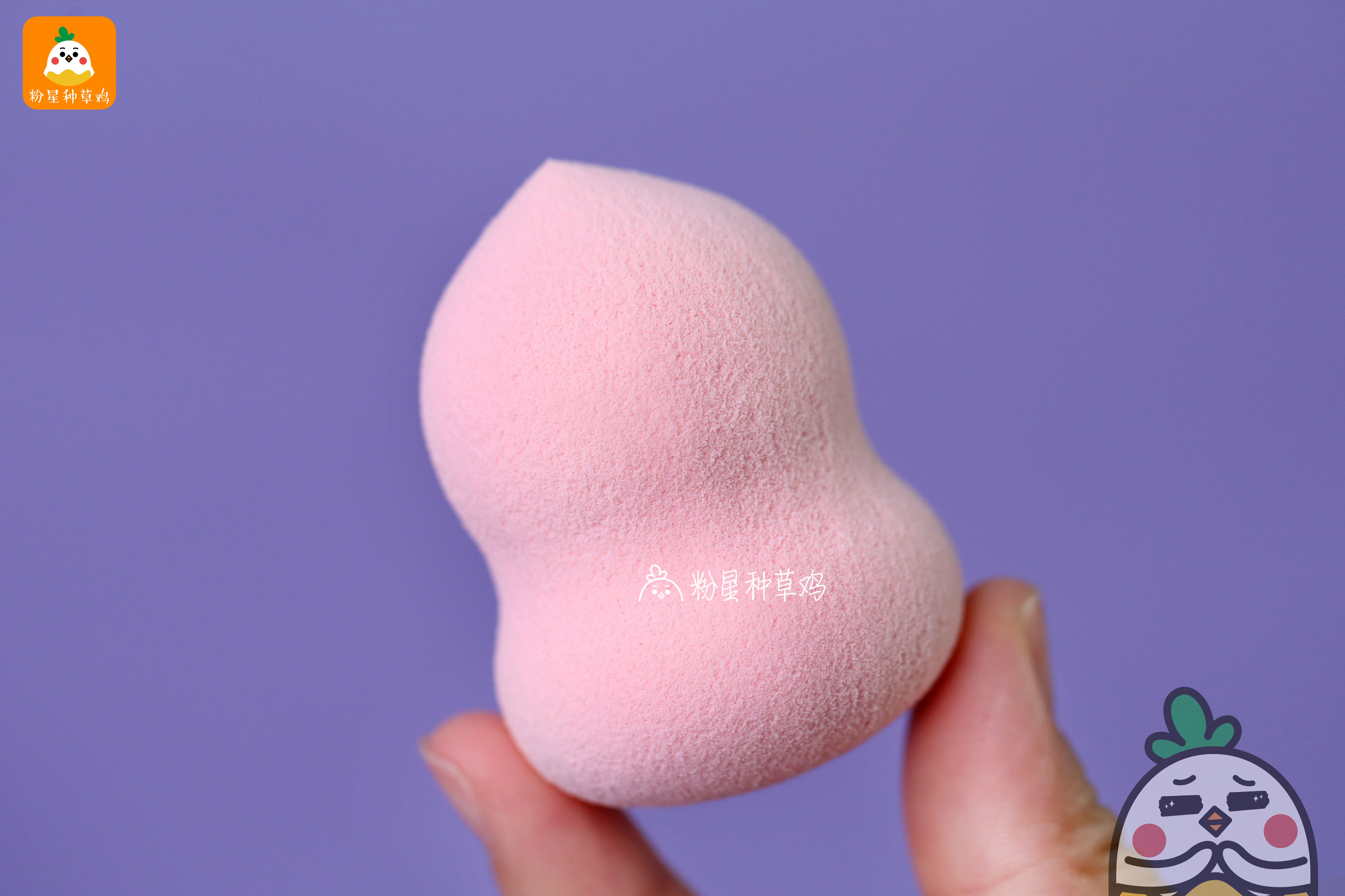 beauty blender美妝蛋和rt美妝蛋哪個好？