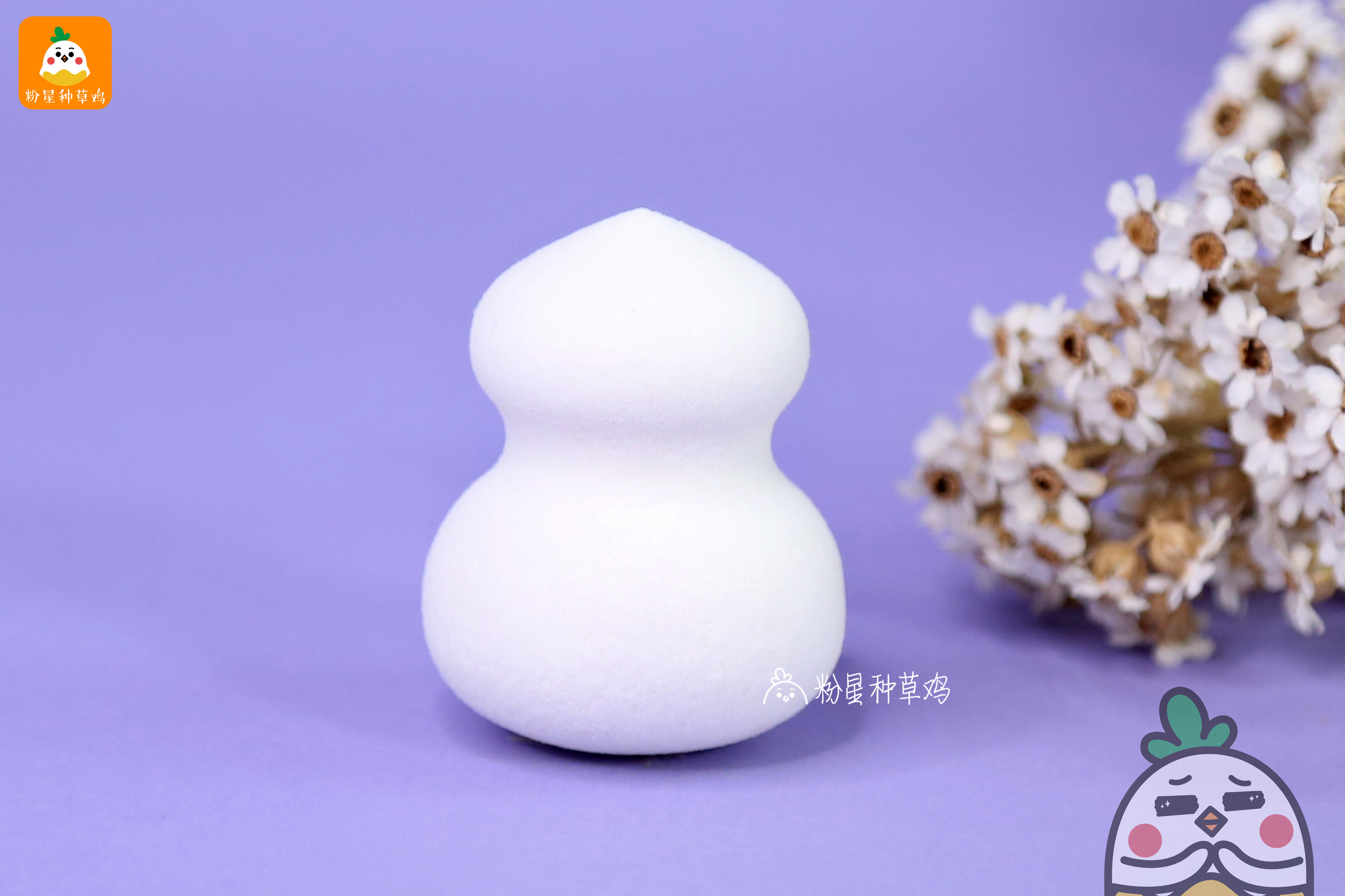 beauty blender美妝蛋和rt美妝蛋哪個好？