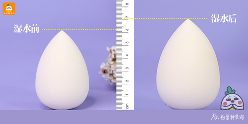 beauty blender美妝蛋和rt美妝蛋哪個好？