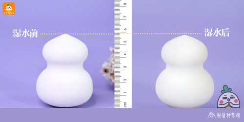 beauty blender美妝蛋和rt美妝蛋哪個好？