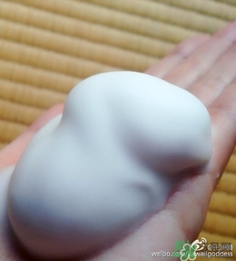 Rafra是什么牌子？是什么檔次？