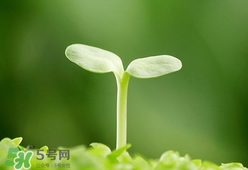 甲醛檢測(cè)儀哪個(gè)牌子好？哪個(gè)牌子的甲醛檢測(cè)儀好？