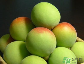 青梅什么時(shí)候成熟？青梅幾月份成熟？