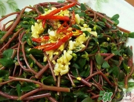 馬齒莧開(kāi)花后還能吃嗎?馬齒莧開(kāi)花后可以吃嗎?