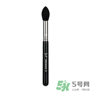 sigma化妝刷哪款好？sigma化妝刷推薦
