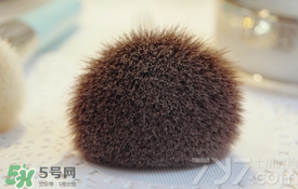 受受狼是哪個國家的？受受狼化妝刷推薦