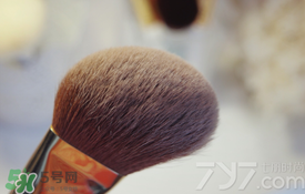 受受狼是哪個國家的？受受狼化妝刷推薦