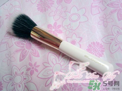 bloomy老爺家化妝刷哪款好？bloomy化妝刷推薦