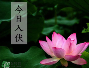 2017年頭伏是哪一天？2017年什么時候入伏？