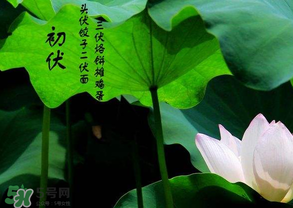 2017年頭伏是哪一天？2017年什么時候入伏？