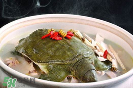 懷孕初期能吃甲魚嗎？懷孕初期可以吃甲魚嗎？