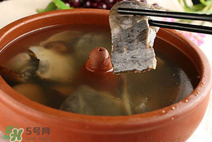 懷孕初期能吃甲魚嗎？懷孕初期可以吃甲魚嗎？