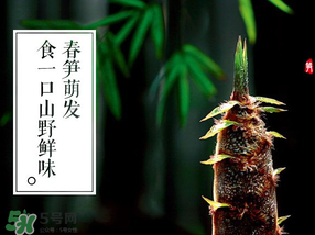 春筍多少錢一斤？春筍多少錢一斤2017？