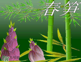 春筍多少錢一斤？春筍多少錢一斤2017？