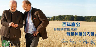 喜寶米粉怎么樣？喜寶米粉如何？